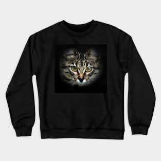 CAT WITH BIG EYES Crewneck Sweatshirt